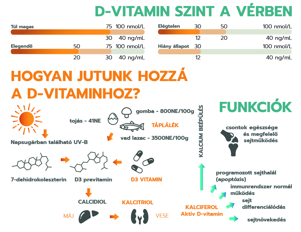 A gyógyulási esély összefügg a D-vitamin-szinttel